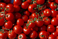 Fresh Tomatoes, Germany