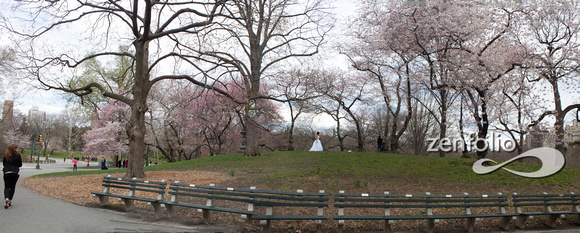 Central Park Views