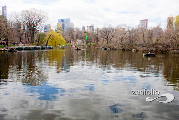 Central Park Views
