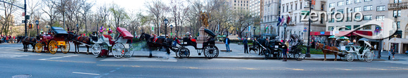 Central Park Horse Carrriage Station Panorama