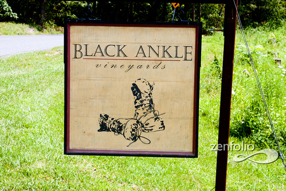 Black Ankle Vineyard -- Mount Airy, Maryland