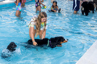KCA Kentlands Dog Swim September 6 2021