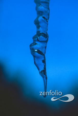 Blue Icicle