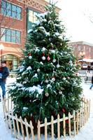 Market Square Tree Lighting December 2009